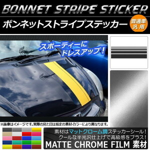 AP ボンネットストライプステッカー マットクローム調 普通車汎用 AP-MTCR1269 入数：1セット(5枚)