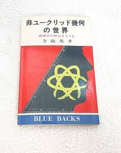 ☆当時もの 入手困難 絶版 希少本 文庫本 小説 エッセイ 寺坂英考 非ユークリッド幾何の世界 幾何学の原点をさぐる 講談社文庫