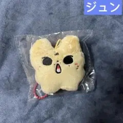 ジュン　ぬいぐるみ　5cm 新品　マスター　セブチ　seventeen