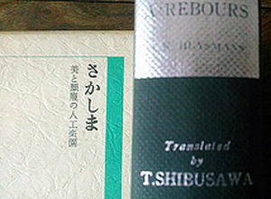 【単行本】さかしま / 美と頽廢の人工楽園 / J・K・ユイスマンス / 澁澤龍彦 譯 / 箱本 / ハードカバー / 光風社出版