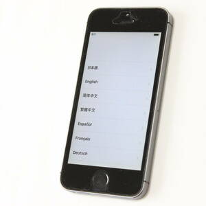 iPhone5s スペースグレイ docomo 判定〇 ジャンク #18271 (2)