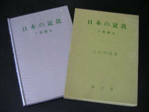 ◆日本の盆栽◆松柏上