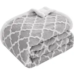 毛布 セミダブル 180ⅹ200cm 冬用 発熱 掛け毛布 暖かい 裏ボア