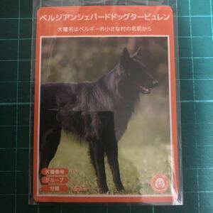 【犬種図鑑カード】 No.092 ベルジアンシェパードドッグタービュレン