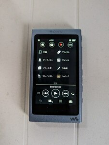 SONY ソニー WALKMAN ウォークマン NW-A45 16GB ハイレゾ　Bluetooth　タッチ　デジタル音楽プレーヤー　本体のみ　動作品 