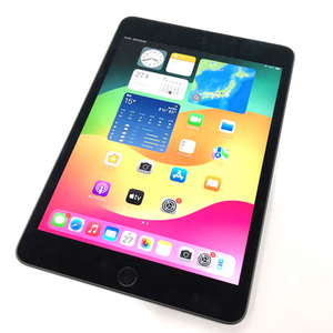 1円 AU Apple iPad mini5 Wi-Fi+Cellular 256GB MUXC2J/A A2124 スペースグレイ タブレット 本体 利用制限