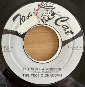 激レアオリジナル盤美品！ Tropic Shadows - If I Were A Rooster / skins eraly reggae スキンズ アーリーレゲエ