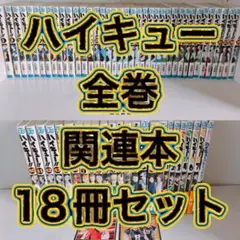 ハイキュー!! 全巻 45巻 + 関連本18冊セット