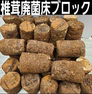 カブト幼虫の栄養強化に！大量！椎茸廃菌床25ブロック☆発酵マットに埋め込むとモリモリ食べます！クワガタ幼虫の餌、産卵木の代わりにもOK