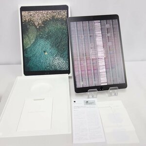 1円スタート ジャンク 液晶不良 iPad Pro 10.5 64GB グレー WiFiモデル 送料無料 インボイス可 【本0413-20-0418】清P