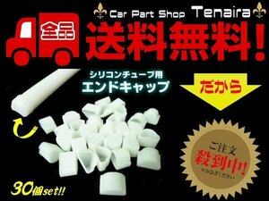 LEDテープライトに シリコンチューブ 用 エンドキャップ 30個セット テープライト 用 切断後 メクラキャップ 30個 送料無料/3