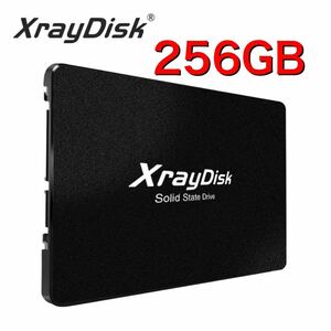 【最安値！】 Xraydisk sata3 ssd 256GB ハードディスク 内部 ソリッドステート ドライブ