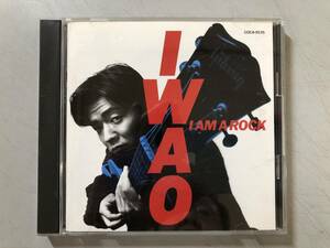 CD　山口岩男　I AM A ROCK　COCA-9535　1円