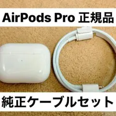 【美品♡】AirPodsPro第1世代A2190充電ケース ケーブルセット