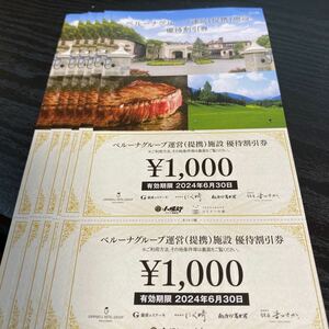 ベルーナグループ　優待券　12000円