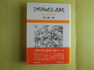 【ミツバチのたどったみち・進化の比較社会：ハチの出現・ハナバチ・クマバチ・16章】 坂上昭一・著者 昭和61年版 思索社