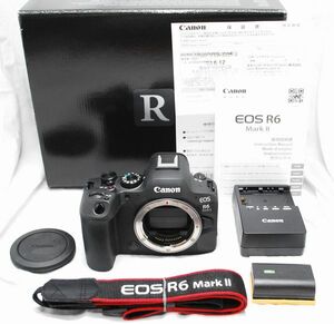 【超美品 2023年6月購入・メーカー保証書 付属品完備】Canon キヤノン EOS R6 Mark II マーク2