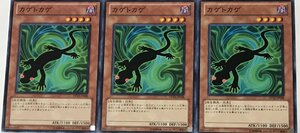 遊戯王 ノーマル 効果モンスター 3枚セット カゲトカゲ DP12