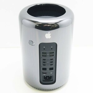◇ Apple Mac Pro Late 2013 ME253J/A【Xeon E5-1620 v2 3.7GHz（4コア）/32GB/SSD欠/D300（2GB） x 2/OS無/同梱発送不可】