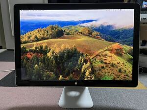 Apple LED Cinema Display MB382J/A 24 Inch