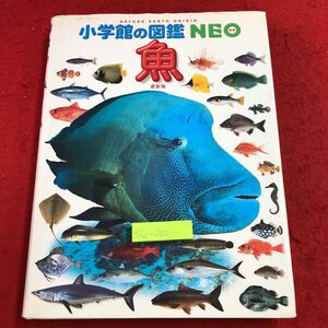 S6c-202 魚 小学校の図鑑 NEO 2004年6月10日 初版第4刷発行 小学館 図鑑 挿し絵 写真 魚介類 観賞魚 深海魚 コイ ドジョウ イワナ サケ