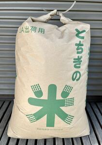 コシヒカリ　お米　玄米25kg 令和5年栃木県産1等米　新米