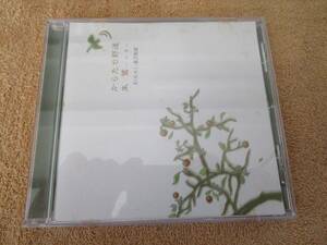 CD　国内盤　RIKKI （中野律紀）宮沢和史「からたち野道／朱鷺」 奄美島唄　