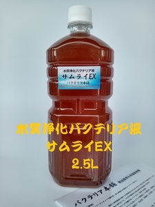 【バクテリア本舗 本店】サムライEX [2.5L]高濃度水質浄化バクテリア液(らんちゅう,めだか,グッピー,金魚,錦鯉,シュリンプ,熱帯魚,海水魚）