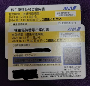 ANA　全日空　株主優待券　2024年11月30日まで　2枚セット