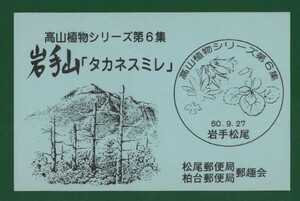 ☆コレクターの出品 マキシマムカード『高山植物シリーズ第６集/岩手山タカネスミレ』　①-59