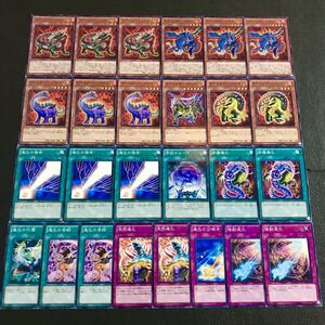 遊戯王　エヴォルデッキパーツ