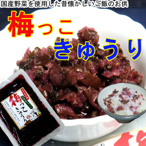 「梅っこきゅうり」130g×1袋 南高梅 カリカリ梅 宮崎県産 きゅうり ご飯のお供に おにぎりの具材に お茶漬けに 食欲増進 送料無料