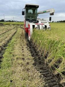 令和5年産、埼玉県産 コシヒカリこだわり玄米、30㎏　有機肥料使用