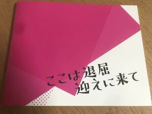 【送料込み】映画 ここは退屈迎えに来て パンフレット