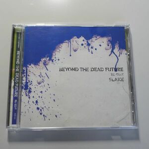 BEYOND THE DEAD FUTURE RE-EDIT / SLAKE　beatmania　Dirty Androids　エレクトロ系ブレイクストラック