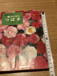 稀少　萩屋薫 (著)　園芸入門 魅力の花木 つばき 単行本　　つばき　椿　本　園芸　古本