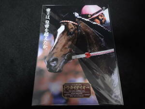 JRA ヒーロー列伝No.36 トウカイテイオー クリアファイル 新品未開封 2017年来場ポイント