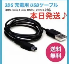 本日発送Nintendo 3DS&2DS対応/充電器ケーブル　ti