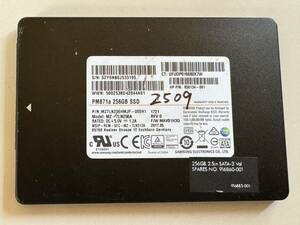 SAMSUNG 　SSD 256GB 【動作確認済み】 2509　　