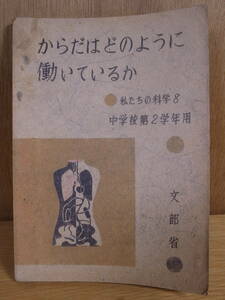 私たちの科学 8 からだはどのように働いているか 文部省 大日本図書株式会社 昭和22年 書込あり