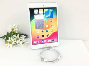 〇【美品】au iPad mini 第5世代 Wi-Fi+Cellularモデル 256GB A2124(MUXD2J/A) シルバー 〇判定 動作品