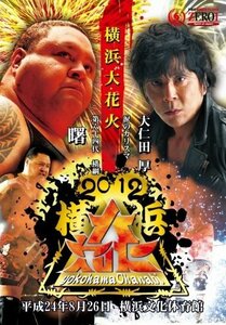 【中古】PROWRESTLING ZERO1~2012横浜大花火~ [DVD]