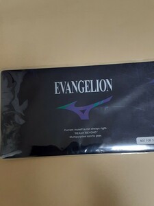 レア　エヴァンゲリオン　オリジナルマスクカバーケース　非売品新品　受注生産購入時のプレゼント　抗菌加工