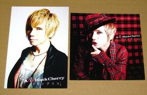 Acid Black Cherry [シャングリラ] 非売品 ポストカード & ジャケットカード セット