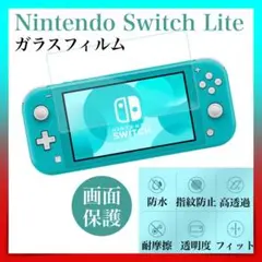 Nintendo Switch Lite　ガラスフィルム　スイッチライト用　保護