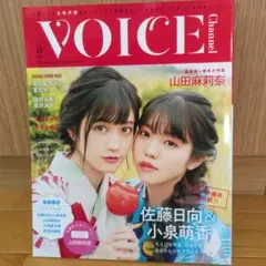 VOICE Channnel Vol.12