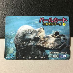 近鉄/シリーズカードー小動物シリーズ3「鳥羽水族館　ラッコ」パールカード(使用済スルッとKANSAI)