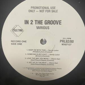 【12”】Various - In 2 The Groove(Sandy Luton - Someone Else