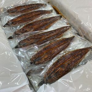 国産うなぎ蒲焼き　約5ｋｇ（120〜150g前後　35～40尾）