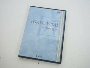 DVD 美品 TOKYO 匠の技 ～めっき～